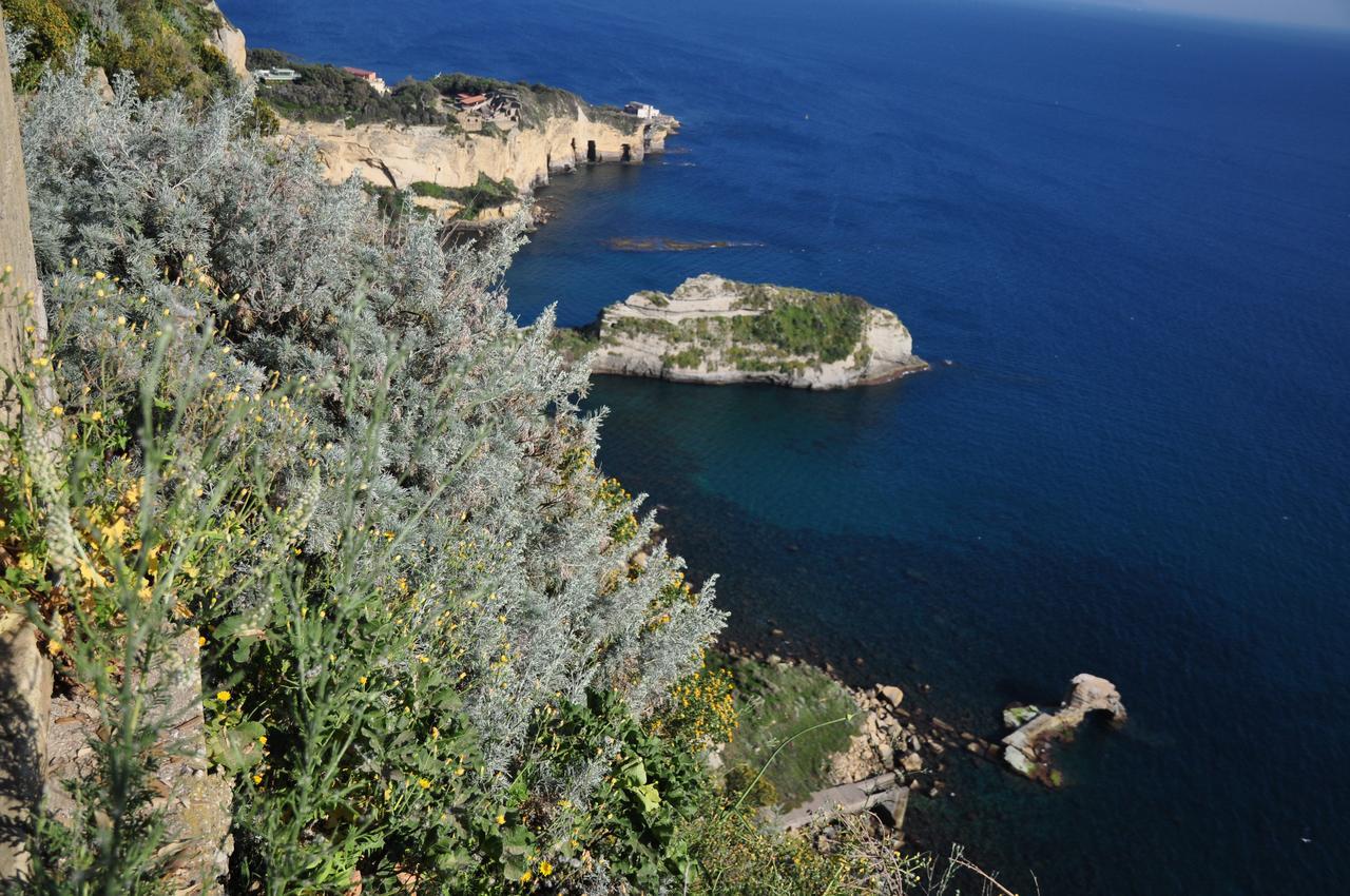 Residenza Le Rose Villa D'Arte Napoli Eksteriør bilde